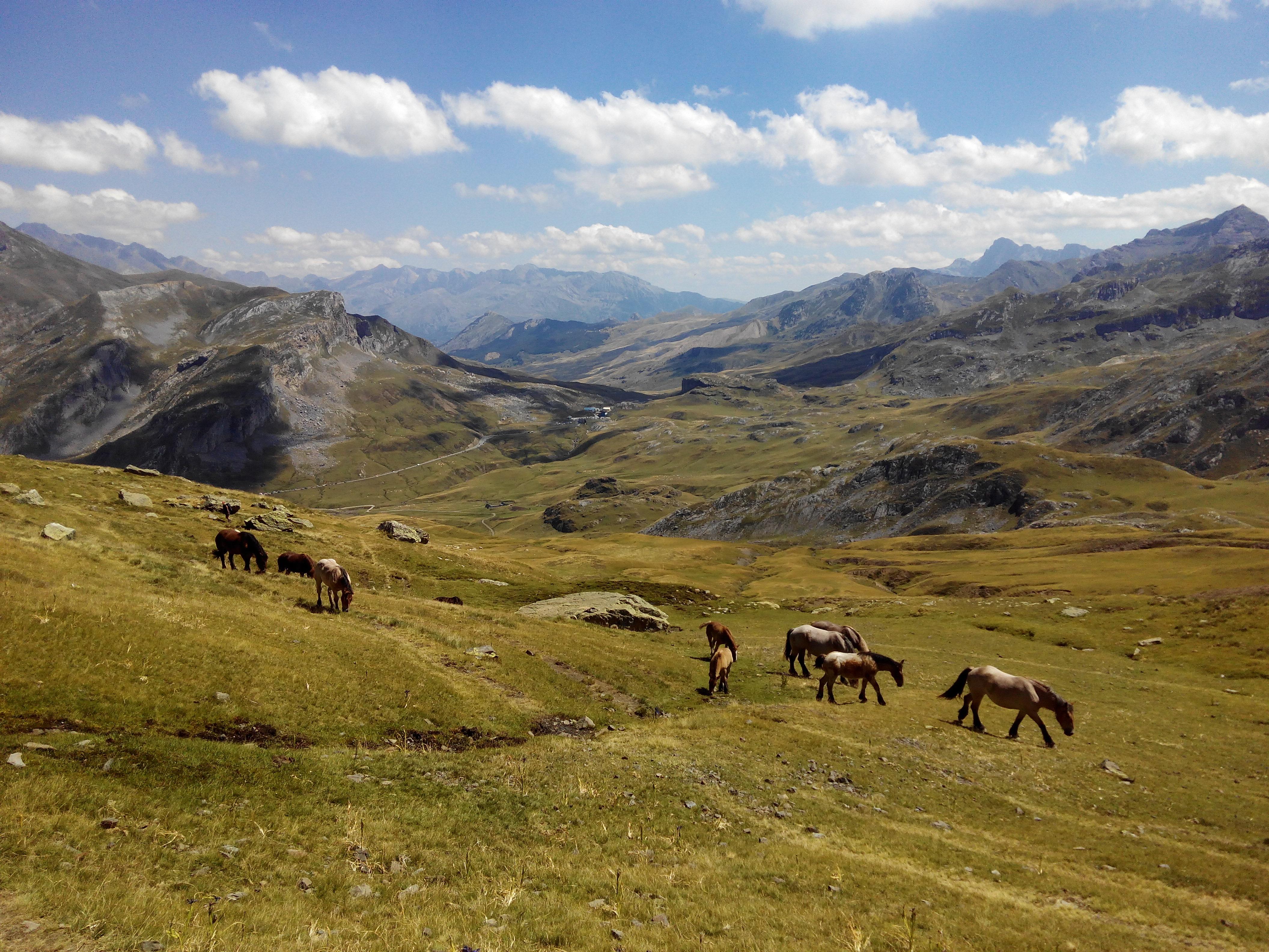 ホテル Abadia Del Pirineo トラマカスティリャ・デ・テナ エクステリア 写真
